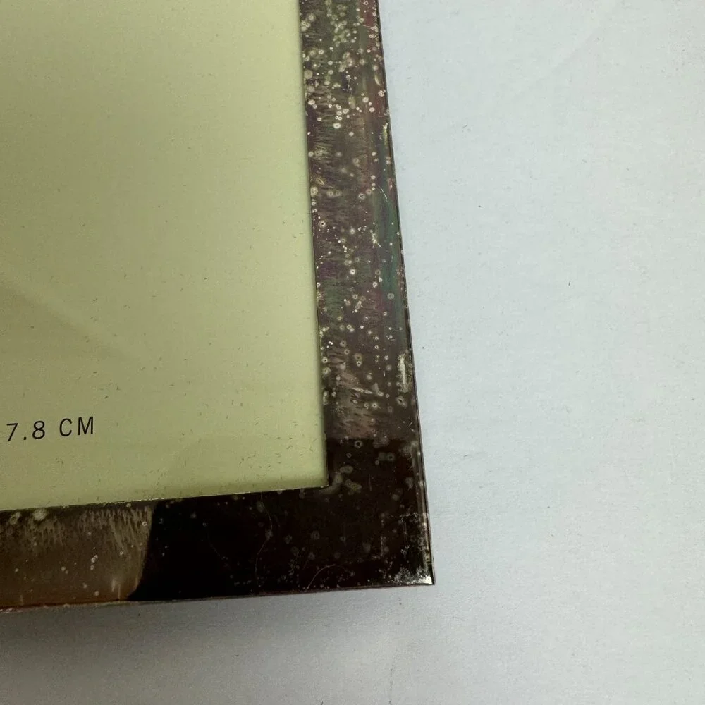 Pottery Barn Silver Stainless Steel Frame 